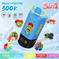 БАНГ ДЕ 5 ИН 1 300К